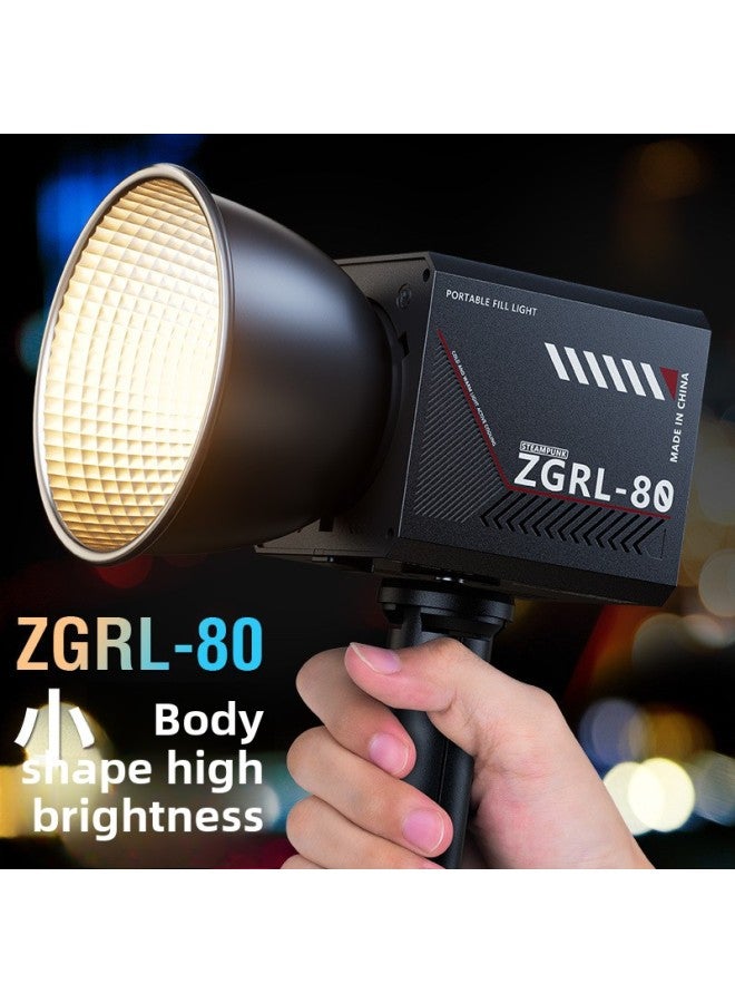 80W Handheld External Shooting Lamp COB High-power Fill Light Photography Lamp Professional Video Shooting Stage Lighting ZGRL80-Color Of Light Source:Zgrl80 Standard + Handle  - Image 2