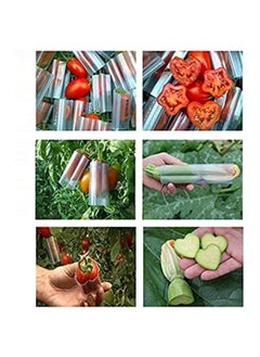 Generic 2PCS Garden Vegetable Growth Forming Mould, Pentagram-shaped Mold, Heart-shaped Cucumber Fruit Shaping Molds Tool  - Image 4