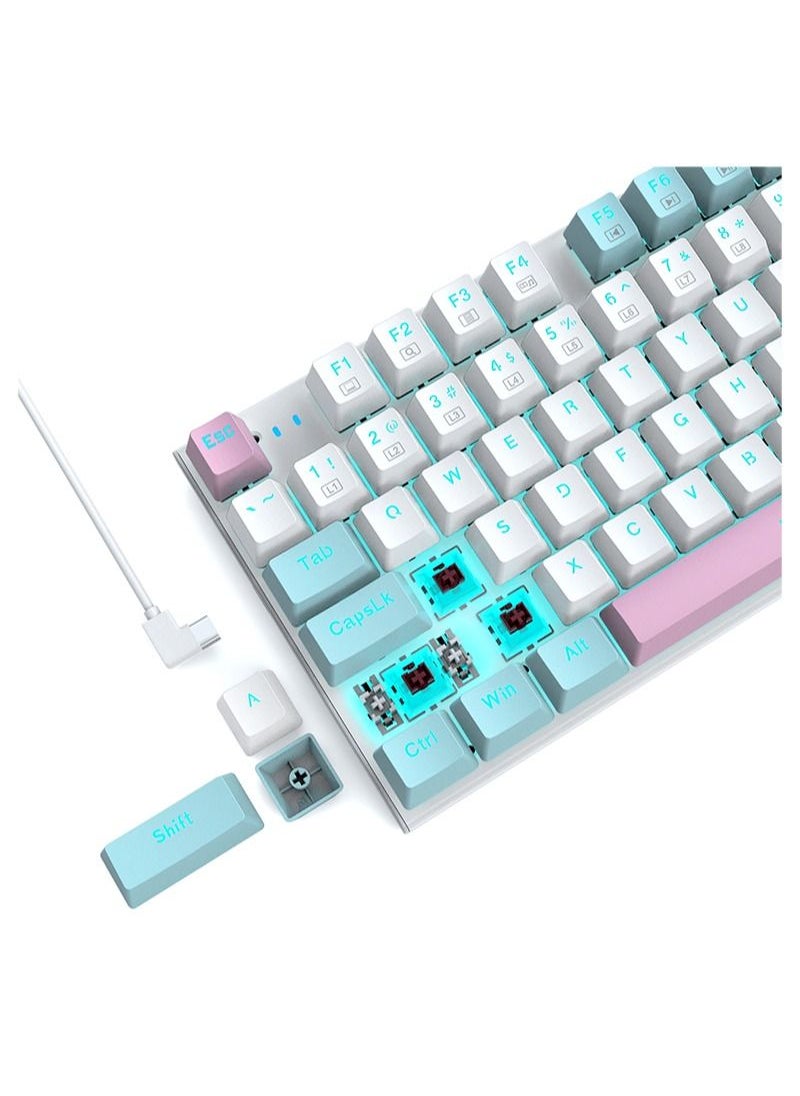 E-YOOSO - Z-19 94 keys Mechanical Keyboard, Brown Switch Wired Gaming Keyboard with Blue Backlit, Arrow Keys & Numpad for PC/Mac Gamer - White Blue - Image 1