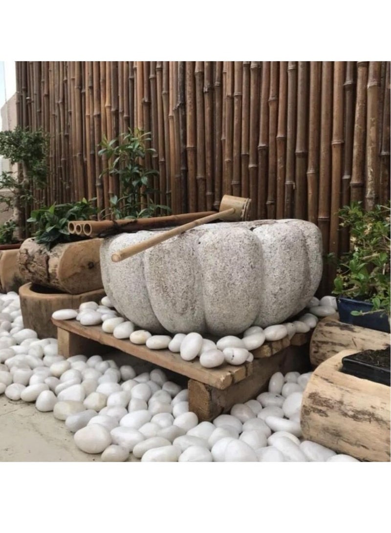 ڤسيل24 20 كجم من الأحجار البيضاء الأنيقة مقاس 5-8 سم - مثالية للديكور المنزلي والحديقة - Image 4