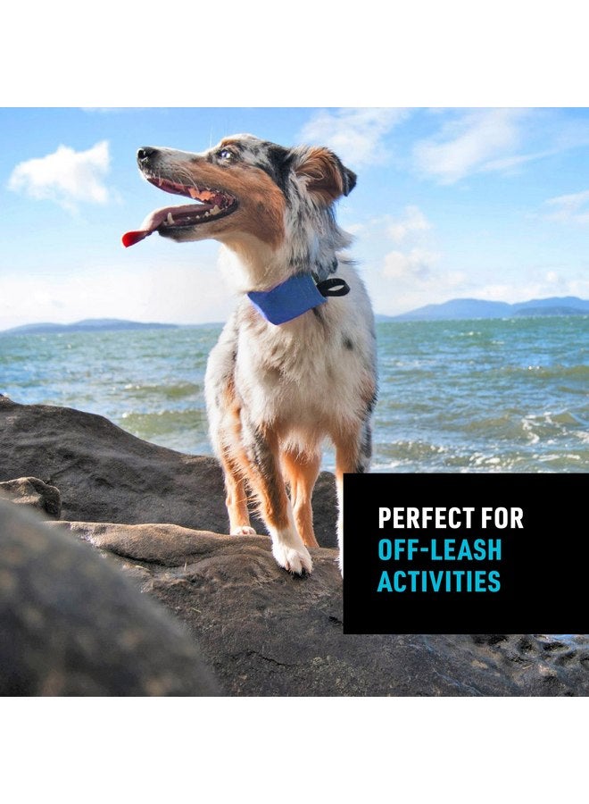 نايت آيز مجموعة طوق ومقود Nite Ize Raddog All-in-One - طوق كلاب شديد التحمل مع مقود قابل للسحب مدمج - طوق من 16 إلى 18 بوصة - أزرق، متوسط - Image 2