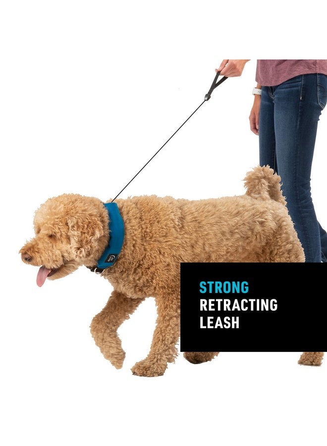 نايت آيز مجموعة طوق ومقود Nite Ize Raddog All-in-One - طوق كلاب شديد التحمل مع مقود قابل للسحب مدمج - طوق من 16 إلى 18 بوصة - أزرق، متوسط - Image 3