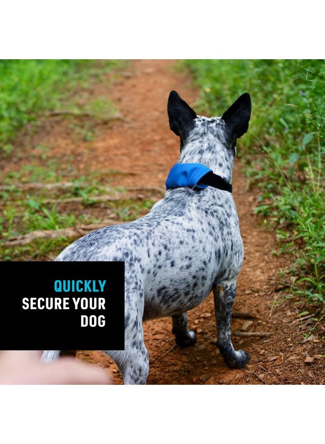 نايت آيز مجموعة طوق ومقود Nite Ize Raddog All-in-One - طوق كلاب شديد التحمل مع مقود قابل للسحب مدمج - طوق من 16 إلى 18 بوصة - أزرق، متوسط - Image 4