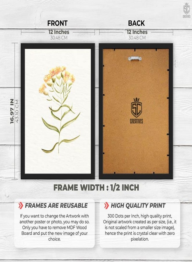 SC CREATIVES Set of 4 Vintage Botany Floral Wall Frame | Wall Hangings | 16 x 12 Inches | Ready To Hang - Image 3