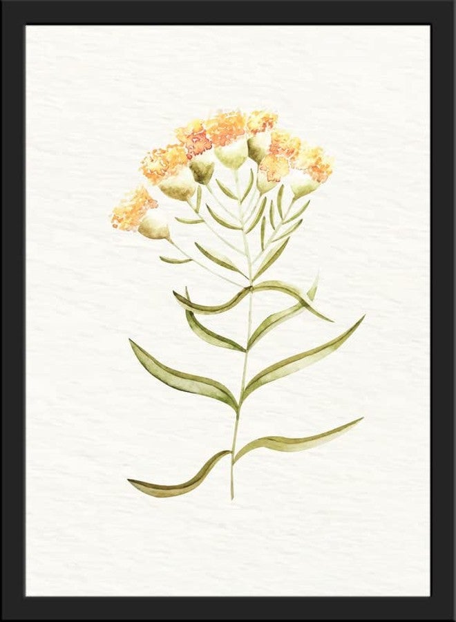 SC CREATIVES Set of 4 Vintage Botany Floral Wall Frame | Wall Hangings | 16 x 12 Inches | Ready To Hang - Image 4