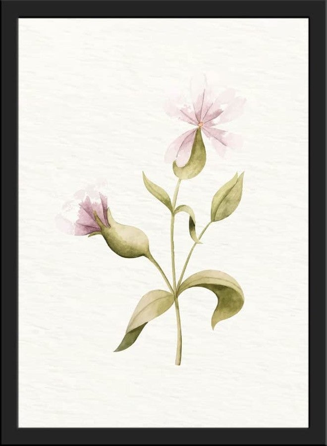 SC CREATIVES Set of 4 Vintage Botany Floral Wall Frame | Wall Hangings | 16 x 12 Inches | Ready To Hang - Image 5