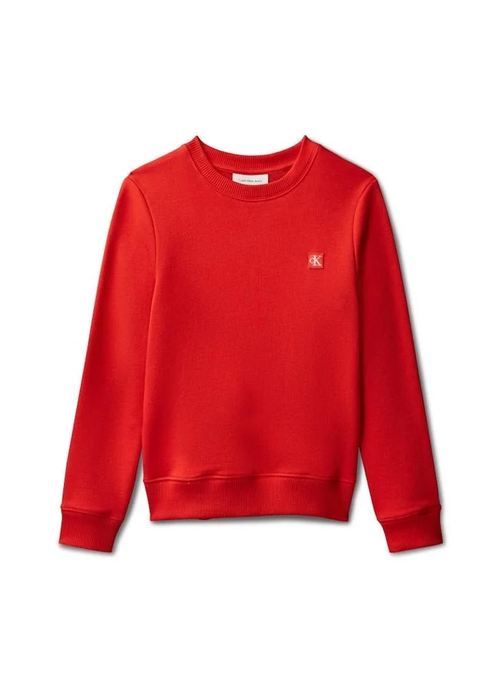 Calvin Klein Jeans Youth Logo Pullover Sweatshirt