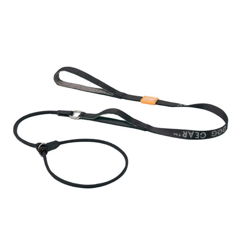 HowGo Slip Lead Dog Leash with Padded Handles | Lightweight Dog Training Leash with 360Â°Swivel Anti-Tangle | Heavy-Duty Lead and Collar for Large Medium and Small, No-Pull Walking (Black, 5.0FT) - Image 1