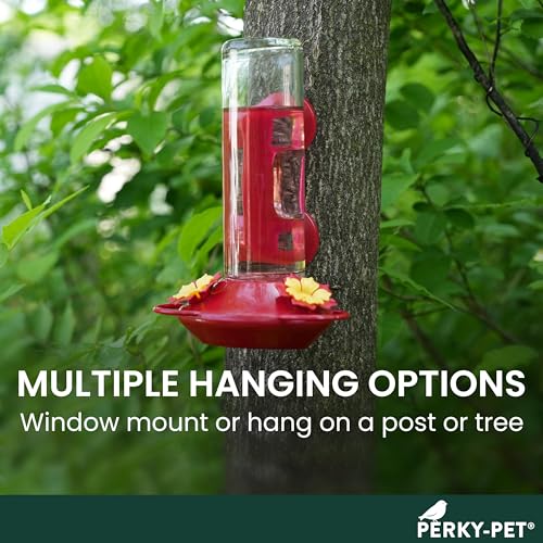 Perky-Pet 455-2 Mounted 445-2 Glass Window Hummingbird Feeder, Red – 14 oz - Image 5