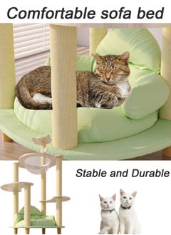 Large Cat Climbing Frame Large Cat Villa Transparent Capsule Cat Tree Cat Sofa Cat House Cat Jumping Platform Cat Scratching Board Cat Nest Sisal Cat Scratching Post Cat Toys - pzsku/Z66BA1E9B583332350630Z/45/_/1717384776/f6e686a1-c496-4a73-94f7-fc3f74c7989c