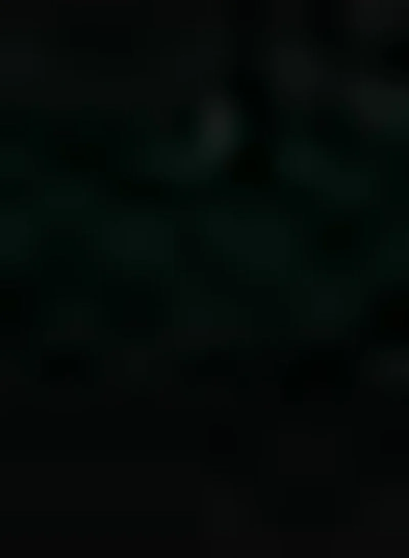 KOTON Hair Accessory