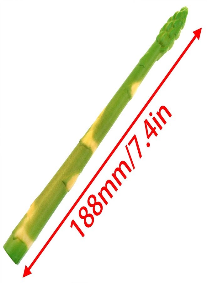 FINBe 19cm Simulated Asparagus Plastic Vegetable Decoration Simulated Vegetables Simulated Asparagus for Photography Props Exhibition Halloween Decorations 6pcs - Image 4