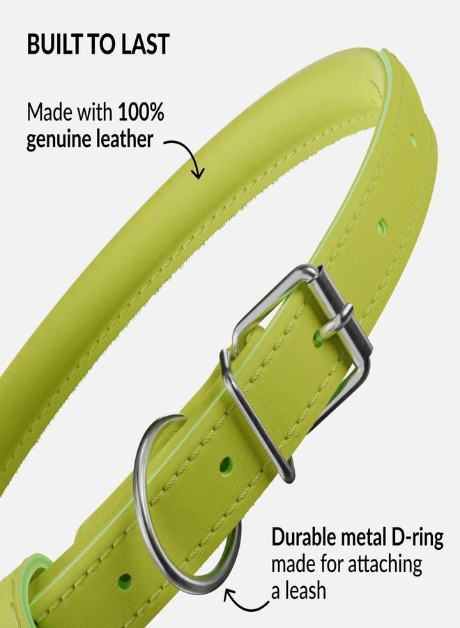 CollarDirect Rolled Leather Dog Collar, Soft Padded Round Puppy Collar, Handmade Genuine Leather Collar Dog Small Large Cat Collars 13 Colors (13-16 Inch, Lime Green Smooth) - Image 3