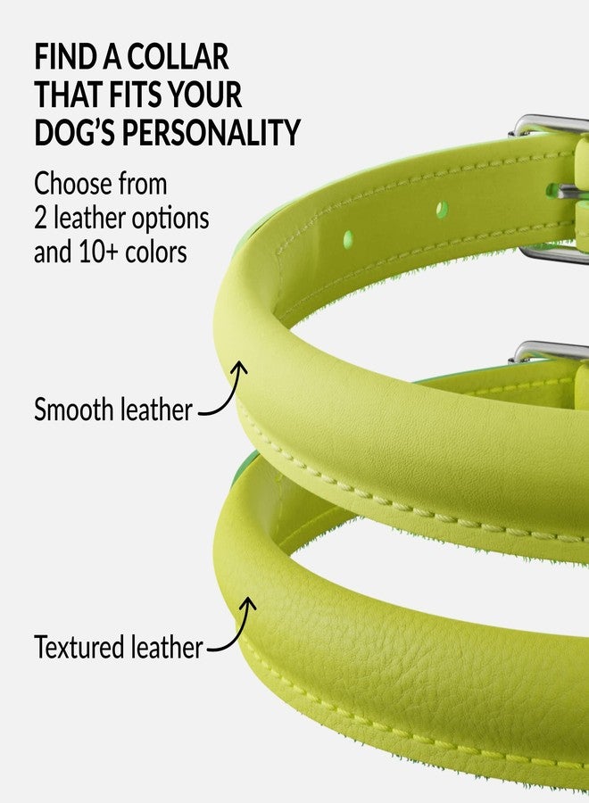 CollarDirect Rolled Leather Dog Collar, Soft Padded Round Puppy Collar, Handmade Genuine Leather Collar Dog Small Large Cat Collars 13 Colors (13-16 Inch, Lime Green Smooth) - Image 5