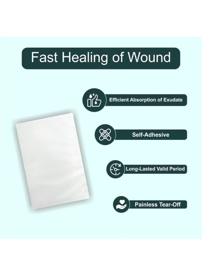 Silva Tiger Cool Relief Patch Box 2 Pcs Size 14x10 - Image 2