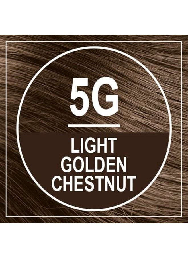 NATURTINT Permanent Hair Color 5G Light Golden Chestnut (Pack of 1), Ammonia Free, Vegan, Cruelty Free, up to 100% Gray Coverage, Long Lasting Results  - Image 3