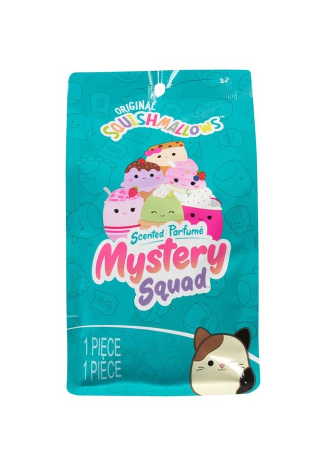 Squishmallows Plush Scented Mystery Squad S5 The Ice Cream 5” 13 cm - Image 1