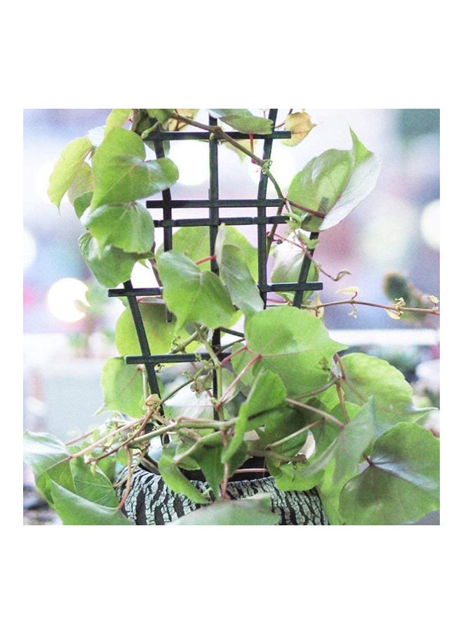 NIBEMINENT Climbing Plants Support Green 25.00x2.50x15.00cm  - Image 2