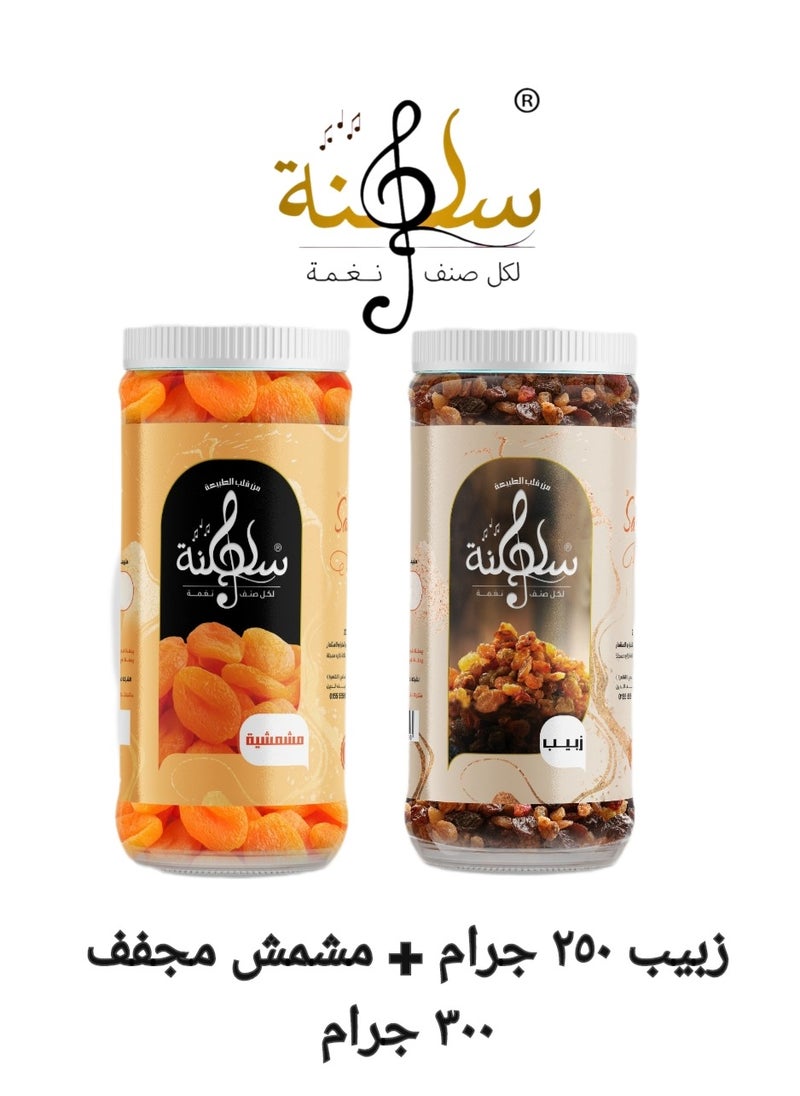 سلطنة - مشمشية وزبيب ايرانى 550 جرام - Image 1