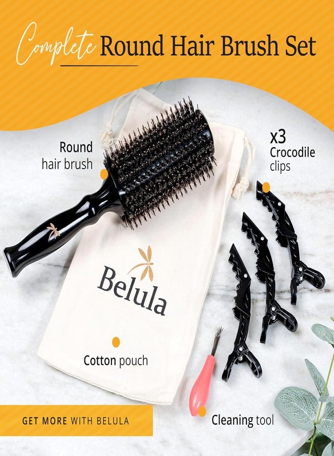 Belula Boar Bristle Round Brush for Blow Out Set by Belula. Round Hair Brush For Blow Drying. Medium 2.4” Wooden Barrel. Hairbrush Ideal to Add Volume and Body. Free 3 x Hair Clips & Travel Bag - Image 5
