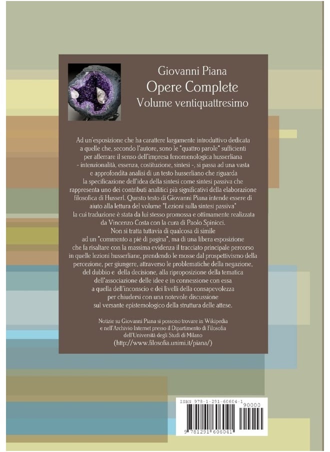 Fenomenologia delle sintesi passive  - Image 2