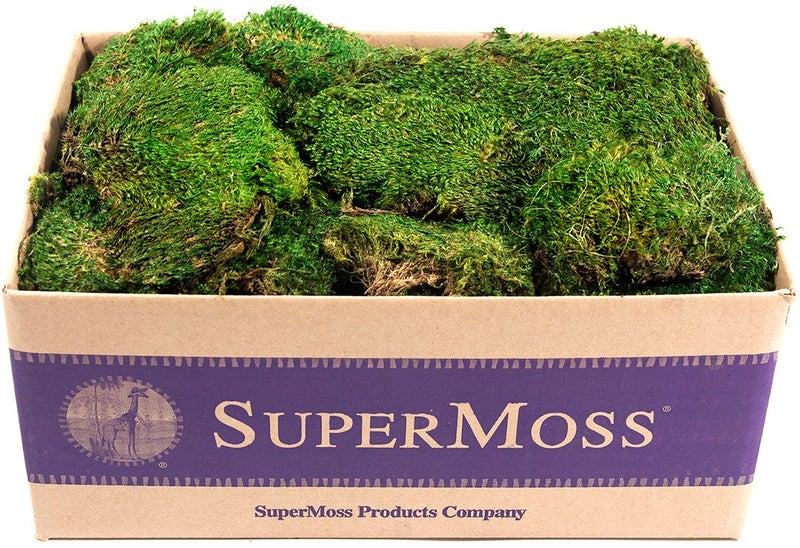 SuperMoss (21538) Mood Moss Preserved, Fresh Green, 3 Pounds - Image 5