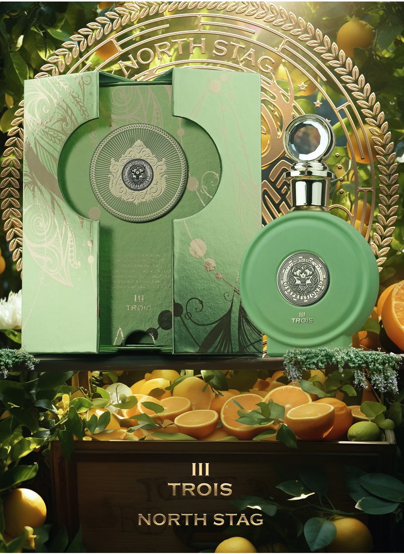 PARIS CORNER - NORTH STAG-EXPRESSIONS TROIS III 100ML BY PARIS CORNER - Image 1