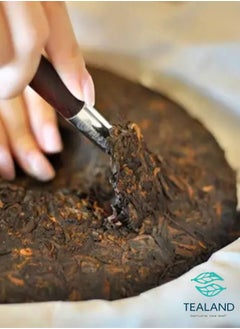 Tealand Organic Aromatic Dark Sheng Puer Strong Malty Loose Leaf Refreshing  Loose Leaf Tea  - Image 4