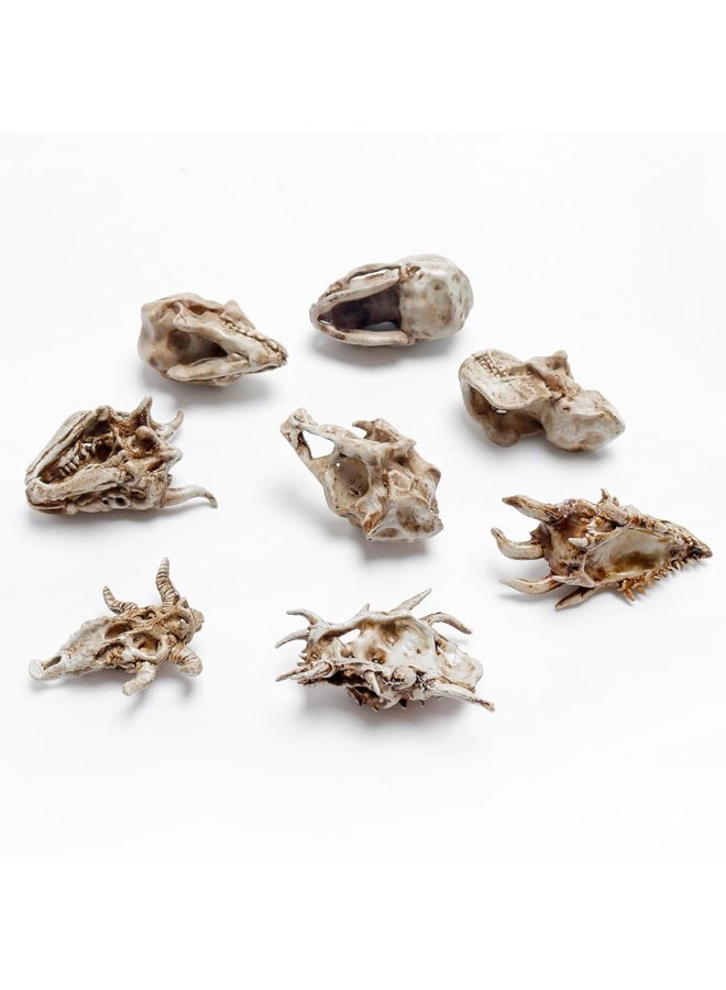 Bbiamsleep 8 Pcs 23 Inch Realistic Animal Skulls Figurine Resin Mini Dinosaur Alien Animal Skulls Simulated Animal Skull Decor Ornament for DIY Projects Halloween Christmas Decoration - Image 3