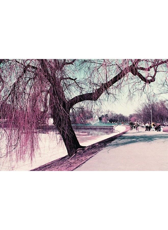 Lomography Lomochrome Purple 35 mm ISO 100-400  - Image 2