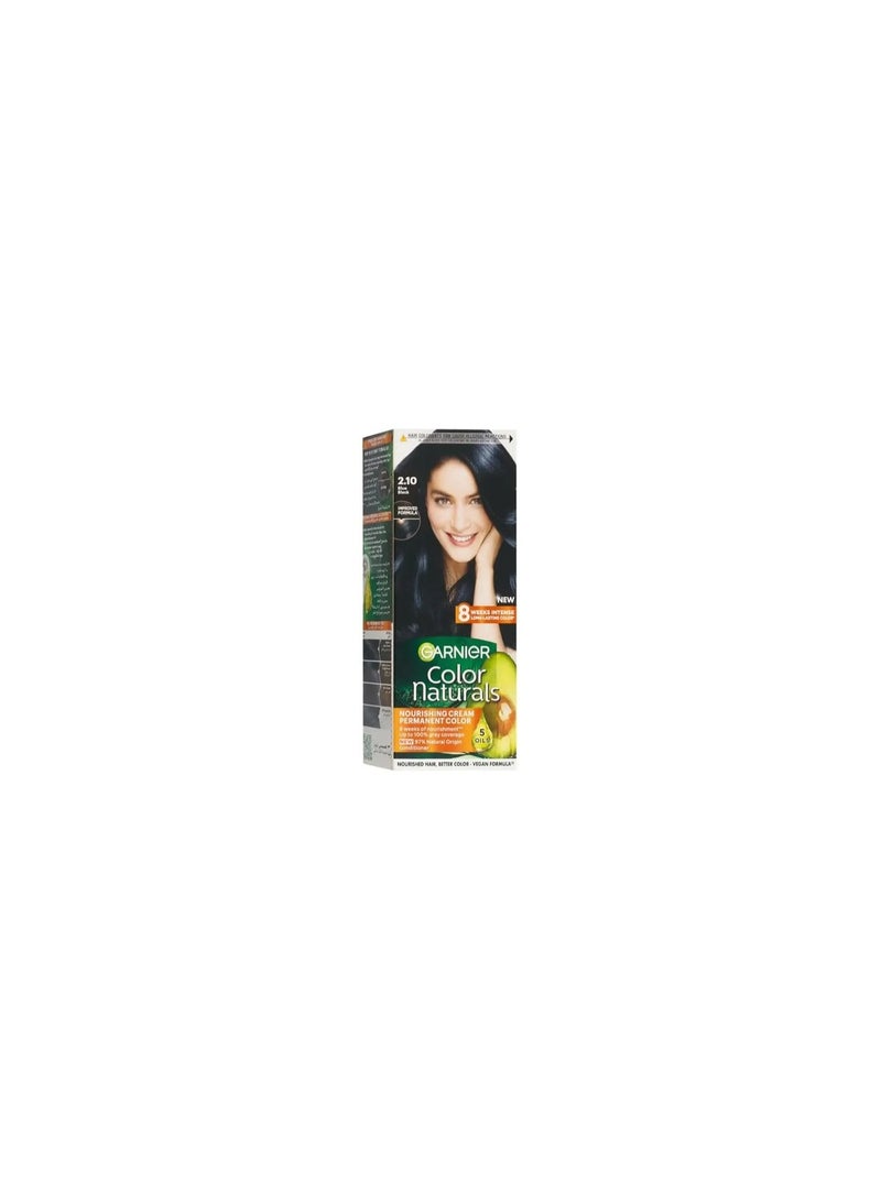garnier Color Naturals Hair Color Blue Black No 2.10 - Image 2