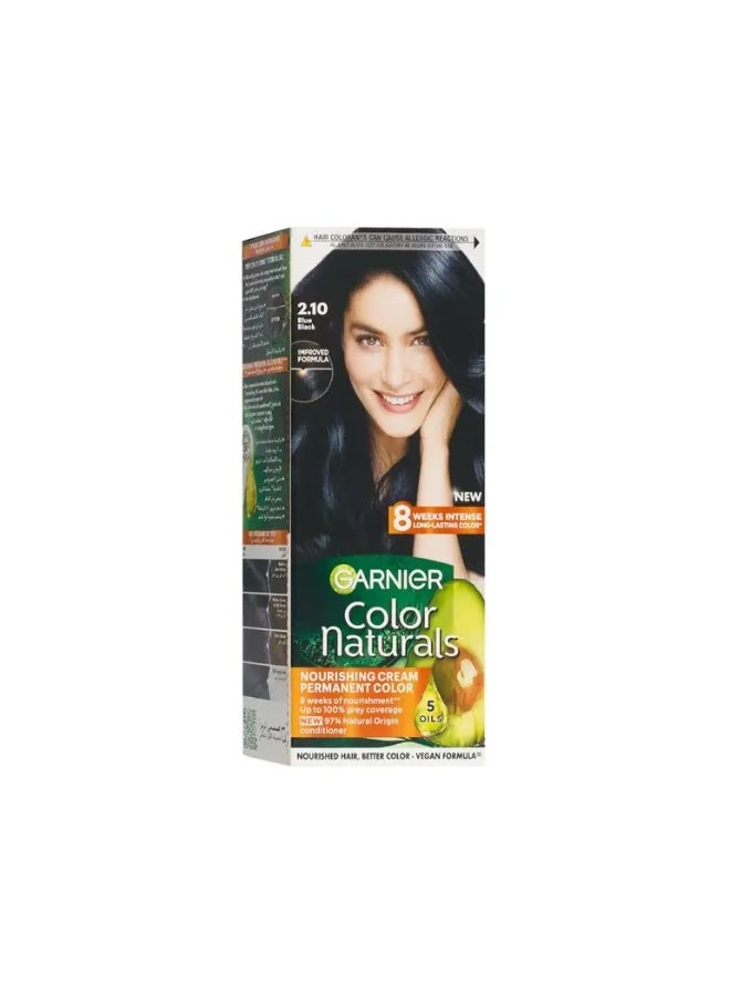 garnier Color Naturals Hair Color Blue Black No 2.10 - Image 1
