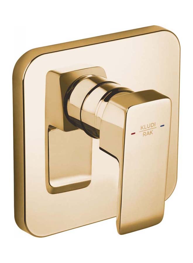 كلودي خلاط بانيو دفن روز جولد RAK-14179 - Image 1