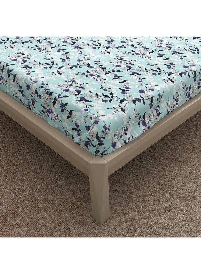 Wakefit Cotton Fitted Bedsheet | 144 TC Elastic Fitted Sheet, King Bed Bedsheet with 2 Pillow Covers | Cicely - 78x72 inches - Image 5