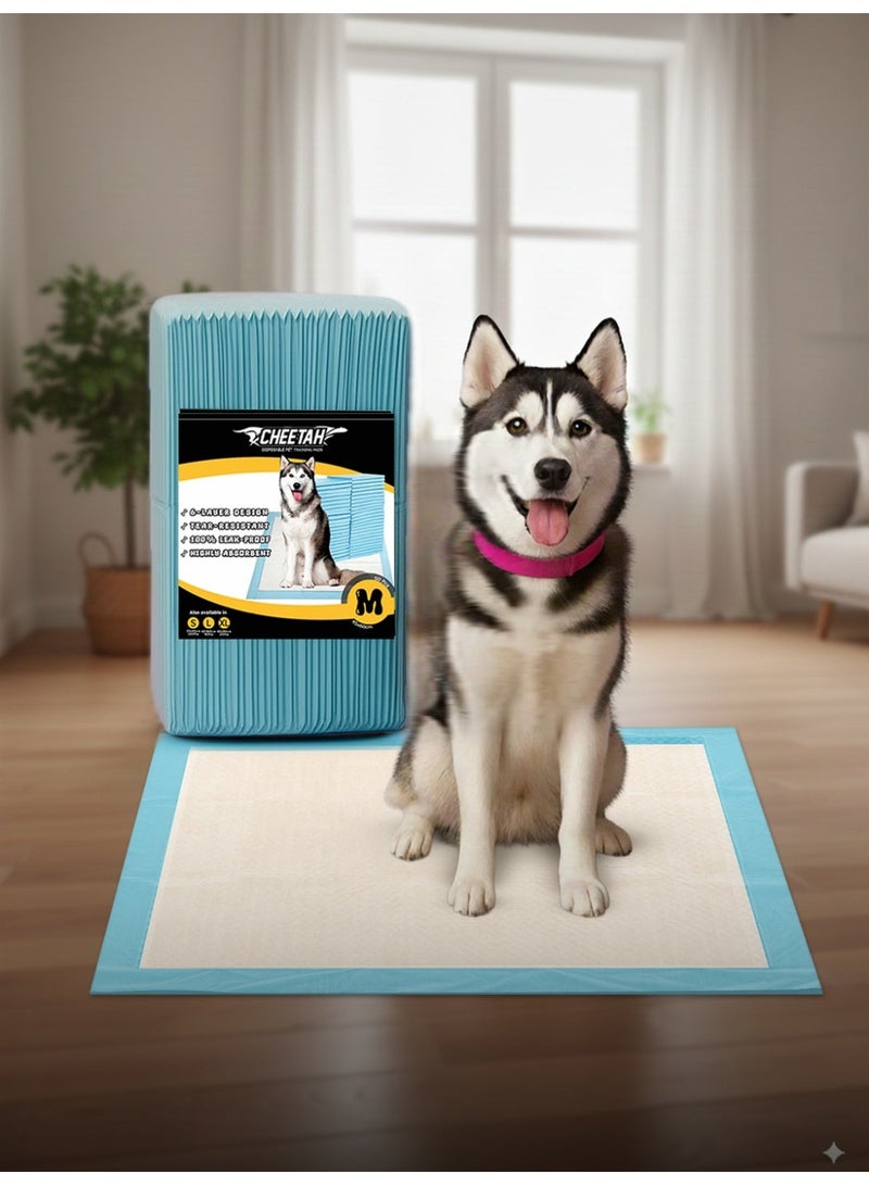 شيتا فوط تدريب الحيوانات الأليفة القابلة للتخلص من ماركة شيتا – 6 طبقات مقاومة للتسرب بنسبة 100%، فائقة الامتصاص، مقاومة للتمزق، تحكم في الروائح، سريعة الجفاف، تمنع تتبع آثار الأقدام، باللون الأزرق - Image 2