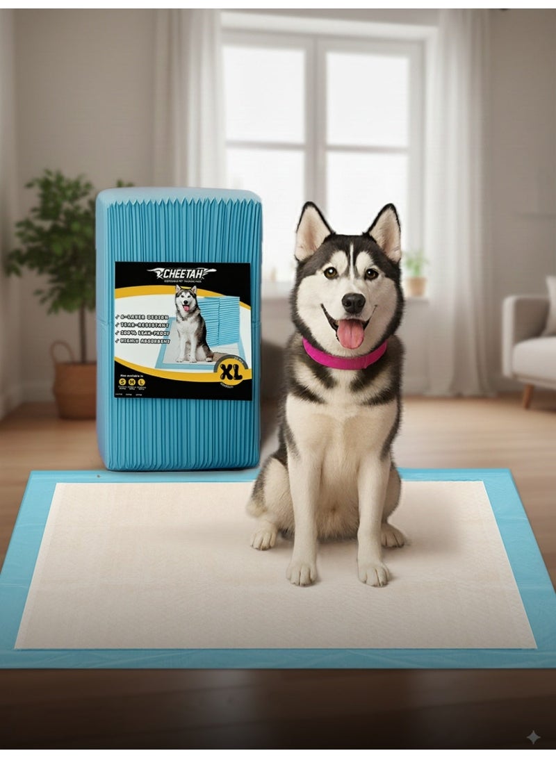 شيتا فوط تدريب الحيوانات الأليفة القابلة للتخلص من ماركة شيتا – 6 طبقات مقاومة للتسرب بنسبة 100%، فائقة الامتصاص، مقاومة للتمزق، تحكم في الروائح، سريعة الجفاف، تمنع تتبع آثار الأقدام، باللون الأزرق - Image 5