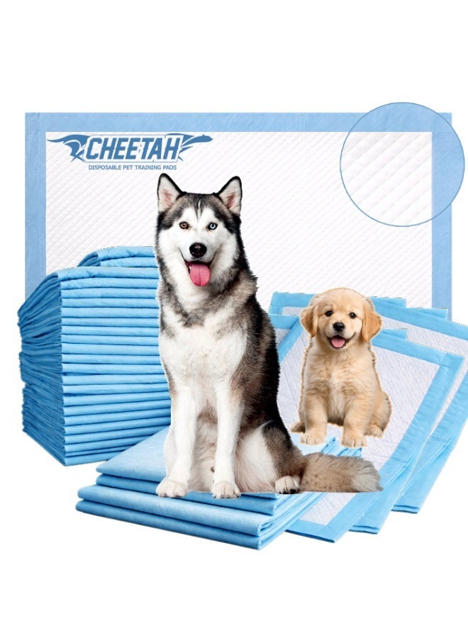 CHEETAH Disposable Pet Training Pads / Puppy Pads / Pee Pads – 6-Layer 100% Leak-Proof, Ultra-Absorbent, Tear-Resistant, Odor Control, Quick-Dry, No Paw Tracking, Blue Color, Available in S (35x45), M (45x60), L (60x60), XL(60x90)