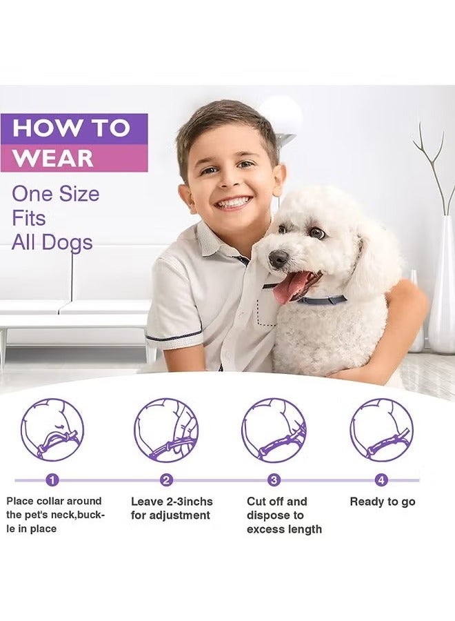 3 Pack Adjustable, Cat Calming Collar, Reduce Anxiety for Pets, Calm Pacify Kitten, Suitable for Small, Medium and Large Cats - Image 4