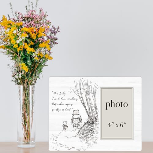 AKFVNSFK Going Away Gifts Classic Pooh Bear Picture Frame, Farewell Gifts for Friends Sisters Besties, Saying Goodbye So Hard Photo Frame for 4 x 6 Inch Photo - Image 5
