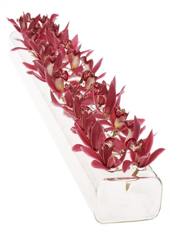 CHIVE ‘Hudson 2 Flute’ Flower Vase - Beautiful Large 24-Hole Multi-Chambered Clear Glass Bud Vase - Perfect Flower Vases for Centerpieces, Wedding Decorations and Living Room Decor - Image 1