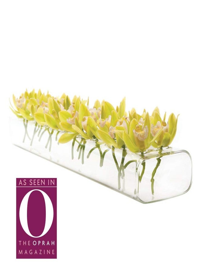 CHIVE ‘Hudson 2 Flute’ Flower Vase - Beautiful Large 24-Hole Multi-Chambered Clear Glass Bud Vase - Perfect Flower Vases for Centerpieces, Wedding Decorations and Living Room Decor - Image 5