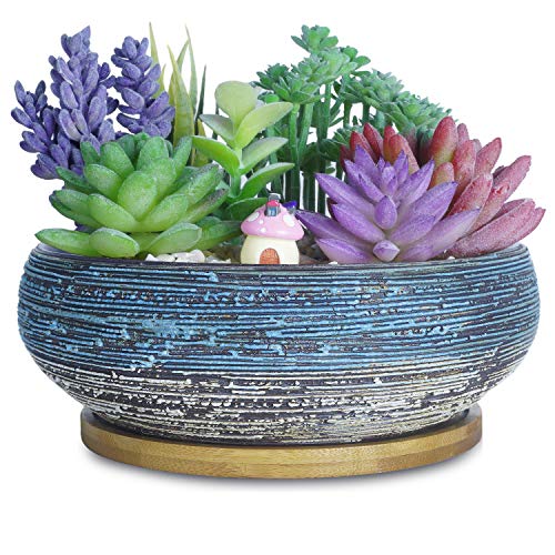 ARTKETTY Succulent Pots, 8 Inch Large Succulent Planters with Drainage Ceramic Bonsai Pot with Tray for Indoor Outdoor Plants Garden Decorative Cactus Flower Plant Container Bowl - Image 1