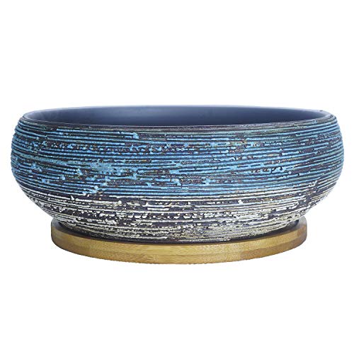 ARTKETTY Succulent Pots, 8 Inch Large Succulent Planters with Drainage Ceramic Bonsai Pot with Tray for Indoor Outdoor Plants Garden Decorative Cactus Flower Plant Container Bowl - Image 2