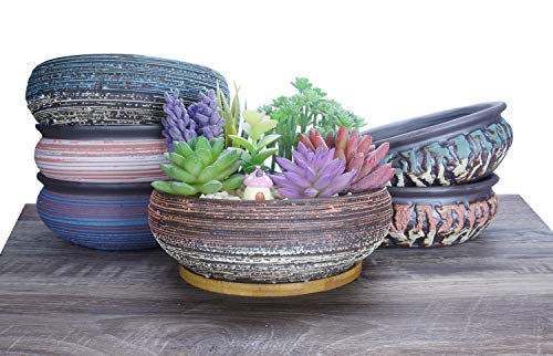 ARTKETTY Succulent Pots, 8 Inch Large Succulent Planters with Drainage Ceramic Bonsai Pot with Tray for Indoor Outdoor Plants Garden Decorative Cactus Flower Plant Container Bowl - Image 5
