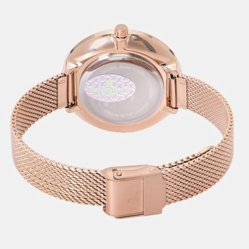 Daniel Klein Metal Analog Silver Dial Women's Watch-Dk11984-2 - Image 5
