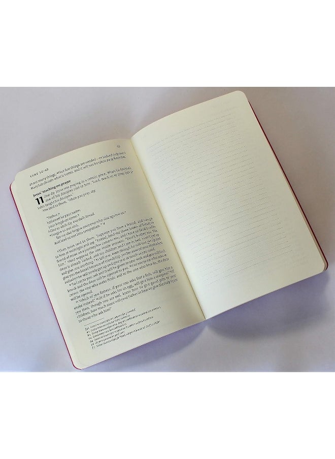 NIV Gospel of Luke for Journalling  - Image 2