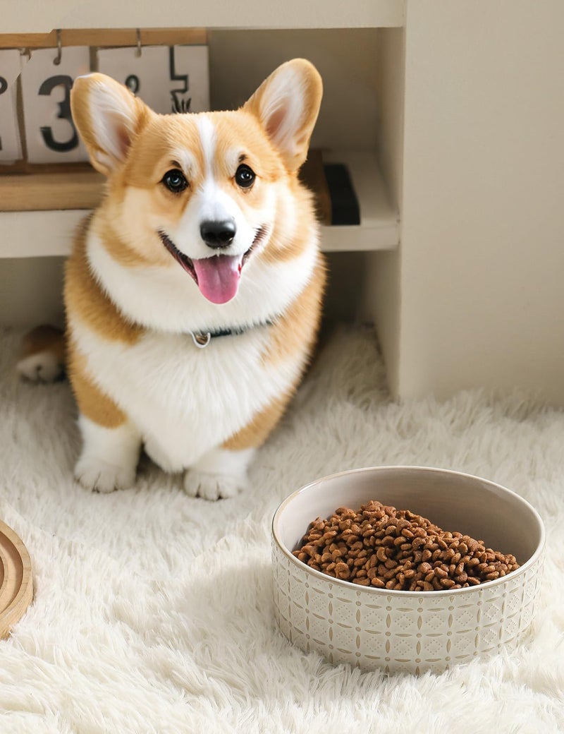Seyatoo Ceramic Dog Bowls, Dog Food Bowls Water Bowl, 6.5inch Dogs Dishes for Middle and Small Size Dogs, Puppy Plates for Food, White - Image 5