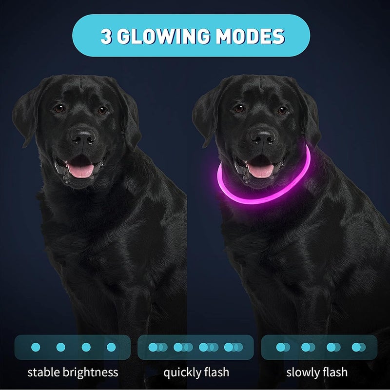 Frienda 4 Pieces LED Dog Collar USB Rechargeable Light Up Dog Collar Adjustable Waterproof LED Pet Collar Safety Lighted Dog Collar Necklace for Small to Large Dogs Night Walking, 4 Colors - Image 3