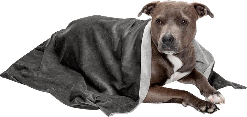 Waterproof Throw Blanket for Dogs & Indoor Cats, Washable - Two-Tone Luxe Velvet Dog Blanket - Granite Gray, Large