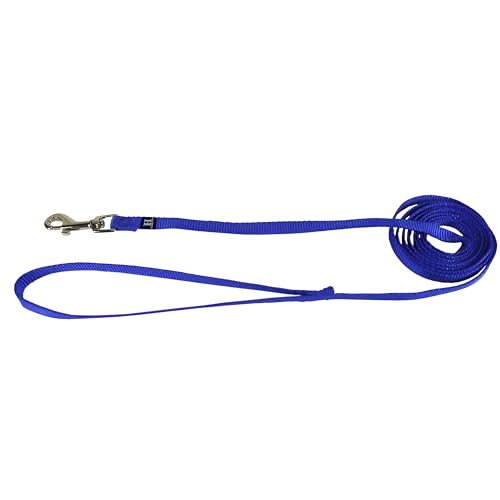 Hamilton Single Thick Deluxe Nylon Dog Leash with Swivel Snap, 5/8" by 4' Long, Blue - Image 1